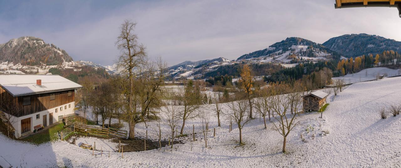 Appartementhaus Unterrain Niederuntersberg Exterior foto